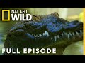 Croc coast full episode  florida untamed