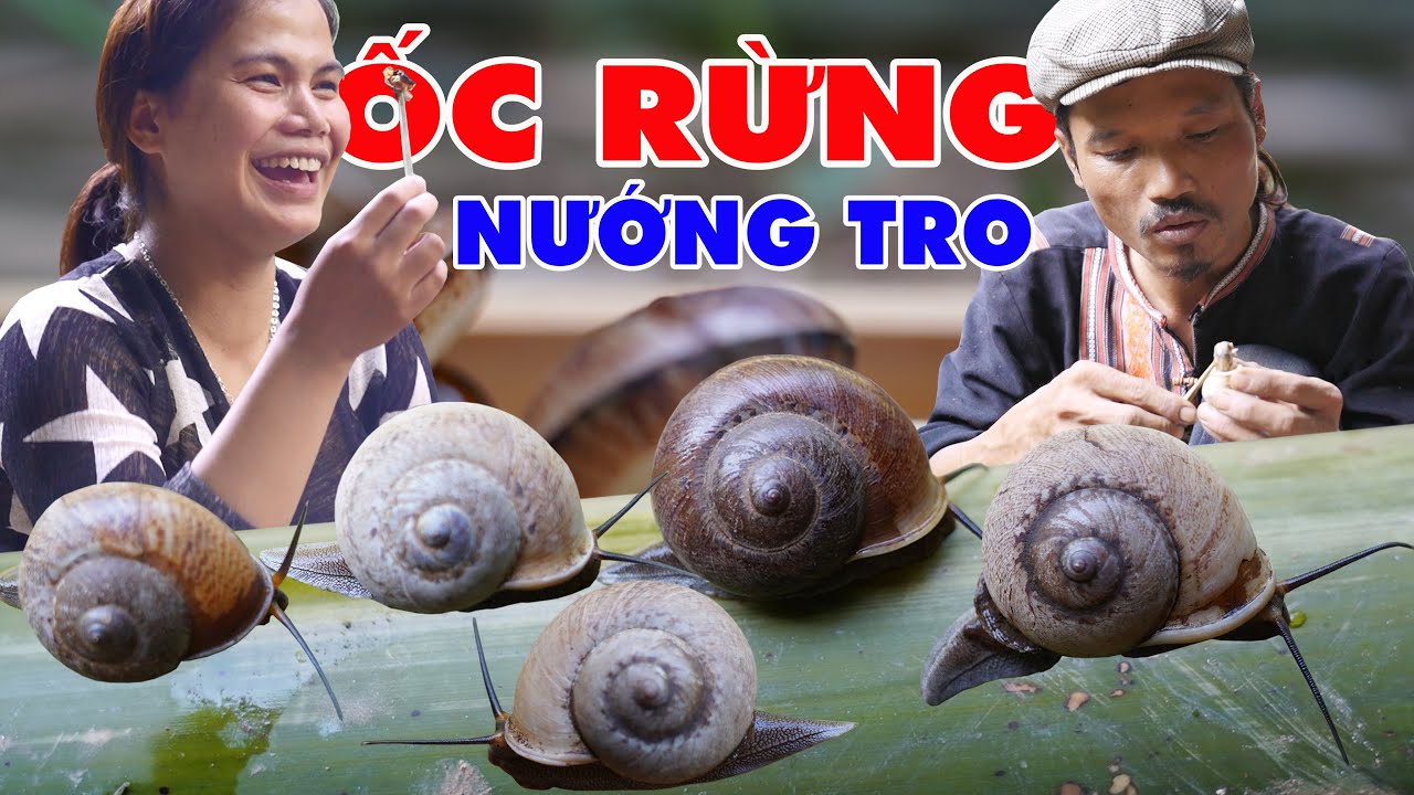 MÓN ỐC RỪNG NƯỚNG TRO - LẠ MÀ NGON | DELICIOUS FOREST SNAILS | Già Làng ...