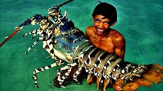 Top 5 Biggest Lobsters Ever Caught