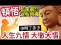 #佛禪 必聽！人在「什麽時候」覺悟？人生要有「九種領悟」才算大徹大悟？勵意好文「讓你的人生」更加通透，讓你的靈魂更有深度！加自由！#經典