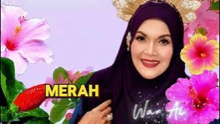 AISHAH : BUNGA RAYA, BUNGA KEBANGSAAN