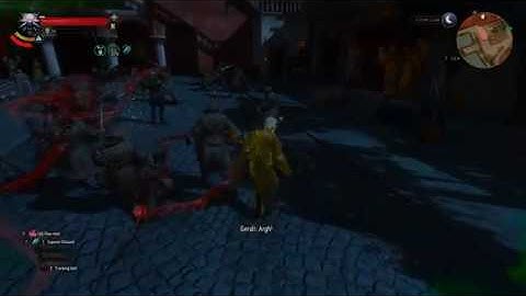 Witcher 3 - Za Warudo Mod