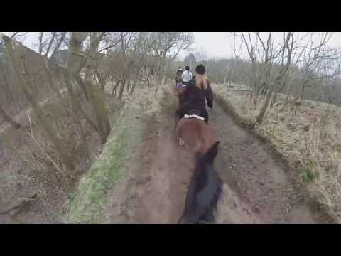 Buitenrit Noordwijkerhout