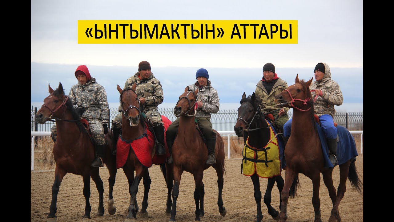 Нуржан Мелисбек уулу: жаңы ат мен үчүн жаңы сыноо