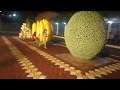 Night gala at the Titanic Fruits