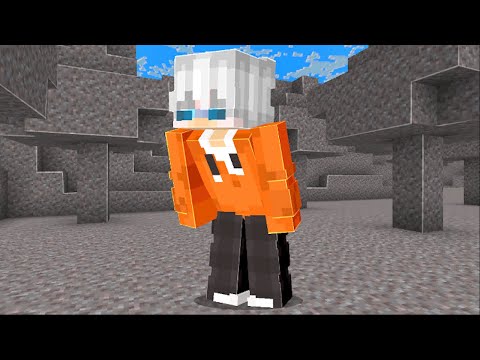Minecraft, But the WORLD is made of ANY BLOCK!