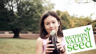 2015 Campaign Video