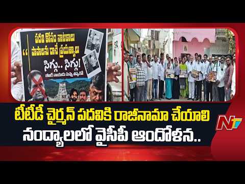 Nandyal YCP Leaders Protest Against TTD Chairman, Demands Resignation | Slams CM Chandrababu | NTV - NTVTELUGU