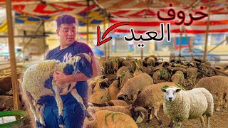 لما تروح تشتغل في مزرعة خرفان بمناسبة عيد الأضحي😂🐑 | سيف عماد