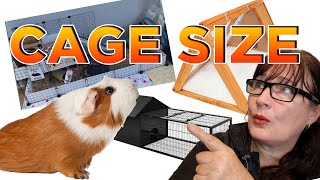 Guinea pig cage size requirements and needs - lets discuss all options by Cavy Central Guinea Pig Rescue with Lyn 458 views 1 year ago 11 minutes, 24 seconds