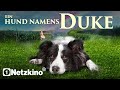 Ein Hund namens Duke (FAMILIEN KOM&Ouml;DIE in voller L&auml;nge, Hunde Filme auf Deutsch, Comedy Filme neu)