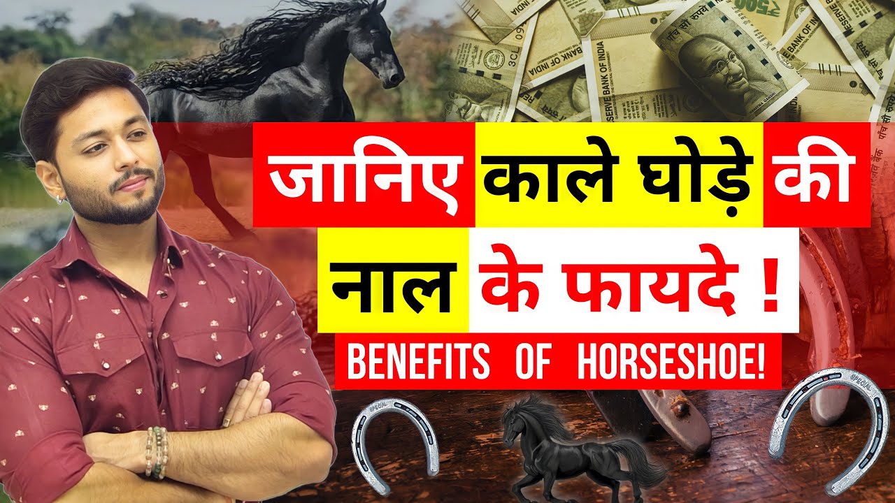Benefits of horseshoes Ghode Ki Naal shubbhchakra horseshoes 