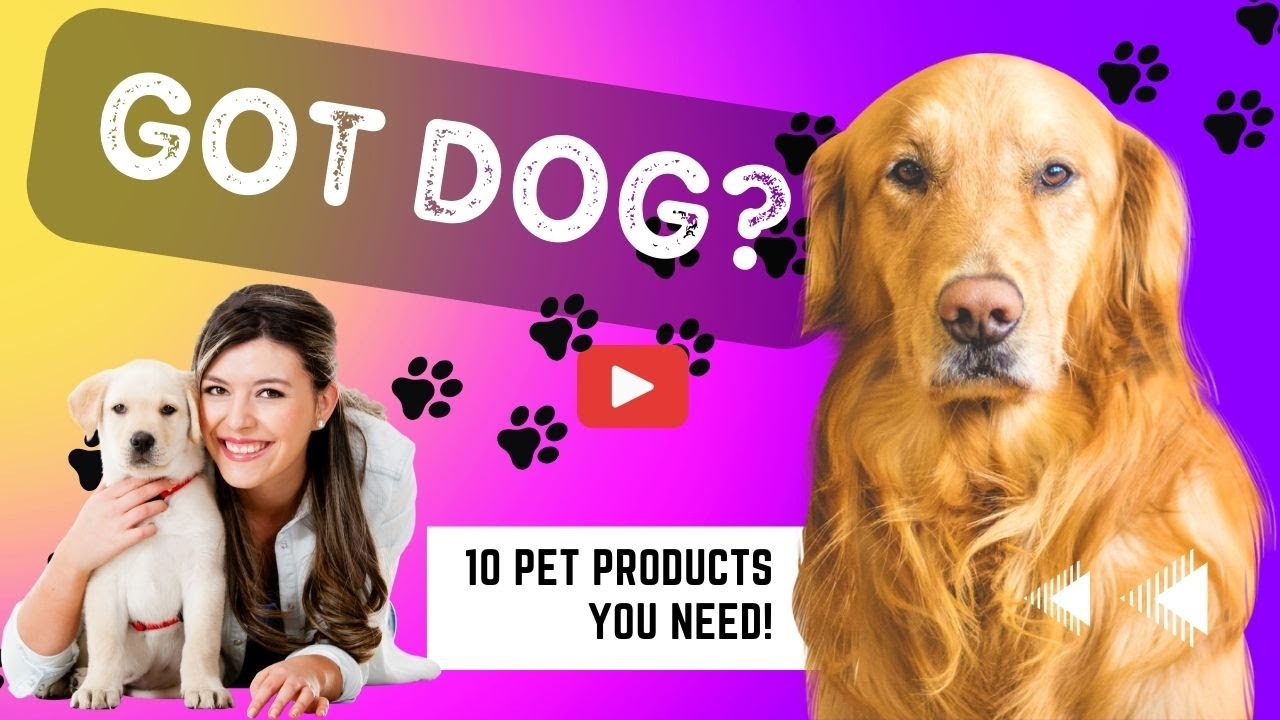 10 Amazon Dog Products Must Haves Favorites For dogs YouTube 10-amazon-dog-products-must-haves-favorites-for-dogs-youtube