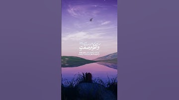 القرآن الكريم راحة نفسية ❤️ #القرآن_الكريم #المصحف #اكسبلور
