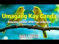 Umagang Kay Ganda ☀️ The Ultimate Golden OPM Pop Collection 70s &amp; 80s Greatest Hits Nonstop