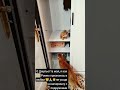 Вот так то Саничка клин клином выбивают У нас так говорится а у вас как в Италии Вот так то Саничка клин клином выбивают У нас так говорится а у вас как в Италии