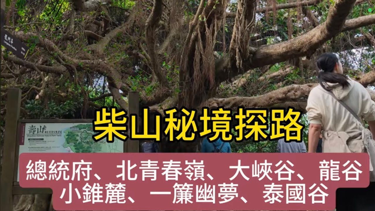柴山秘境攻略｜總統府、大峽谷、龍谷、泰國谷怎麼走？一探高雄後花園的隱藏版美景