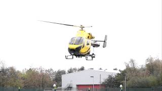 MVI 5005