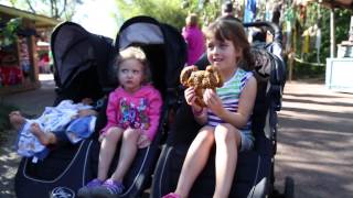 Disney Vacation 2014