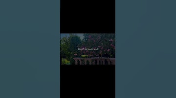 #تلاوة_هادئة #تلاوات #ارح_قلبك #المصحف #اكسبلور #هدوء_القلب #هدوء
