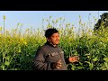 Profit 15 Lakh | Scientific Method | For Mustard Farming | सरसों की वैज्ञानिक खेती से 15 लाख कमाएं