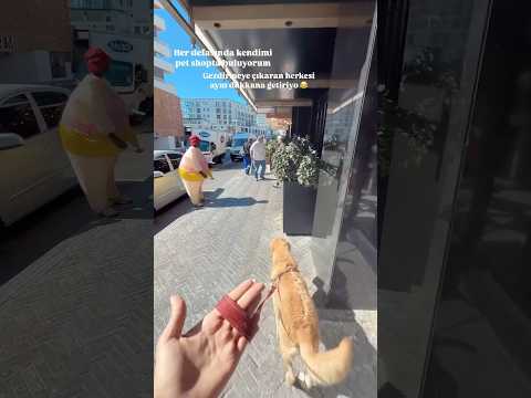 Kim kimi gezdirmeye çıkardı belli değil 😅 #güneyafrika