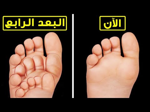 فيديو: هل توجد كائنات رباعية الأبعاد؟