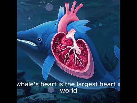 حقائق علمية يومية هل تعلم 