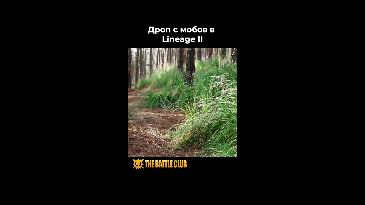 Дроп с мобов в игре Lineage 2