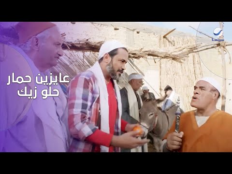 راحوا يشتروا حمار المعلم عمل معاهم الصح