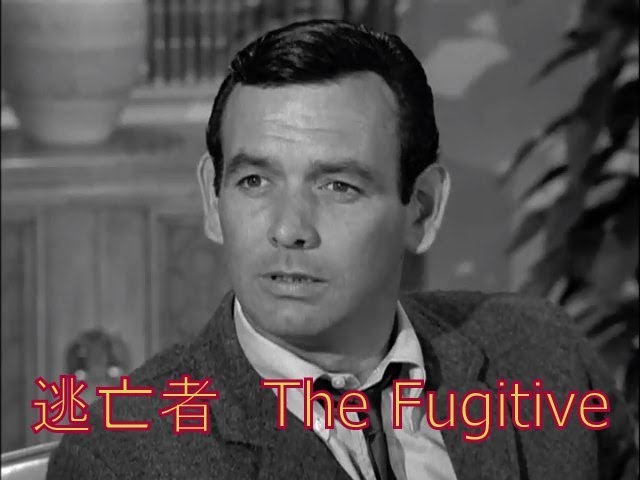 60年代のTVドラマ逃亡者The Fugitiveより2話 リングの決断、虫けら