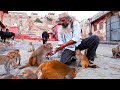 Monkey Man जयपुर | जयपुर के विजय कुमार शर्मा 40 वर्षों से बंदरों को खाना ख़िलाते है