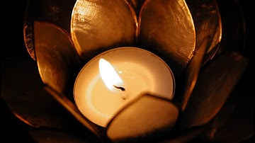 Thumbnail of Fauve - Les Hautes Lumières