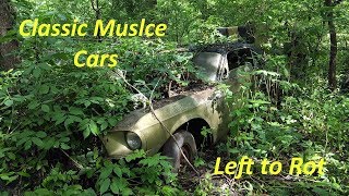 Exploring a Forgotten Muscle Car Graveyard!