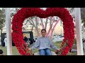 عيد ميلاد روكا عيد ميلاد روكا