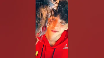 عمري لي ضيعته سنين جازو 