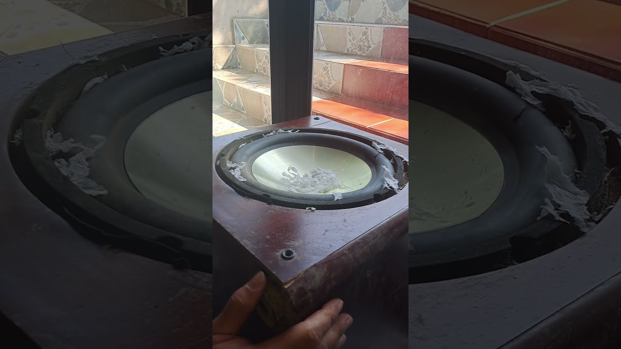 EPIC BASS! Testing a 12-Inch Subwoofer Found in a Shed! 