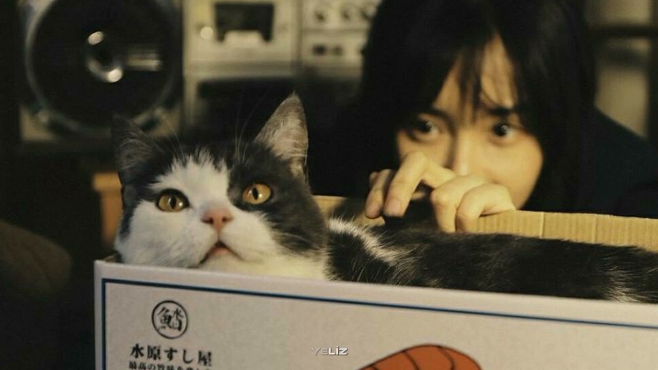 Ayşe Hatun Önal - Olay (Speed up)