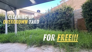 EXTREME Yard Makeover FREE Overgrown Paths Get a Total Revamp