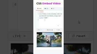 HTML Video Embed using Iframe #coding #website #htmltutorial