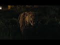 Jumanji Welcome To The Jungle 2017 Jaguars Screen Time 