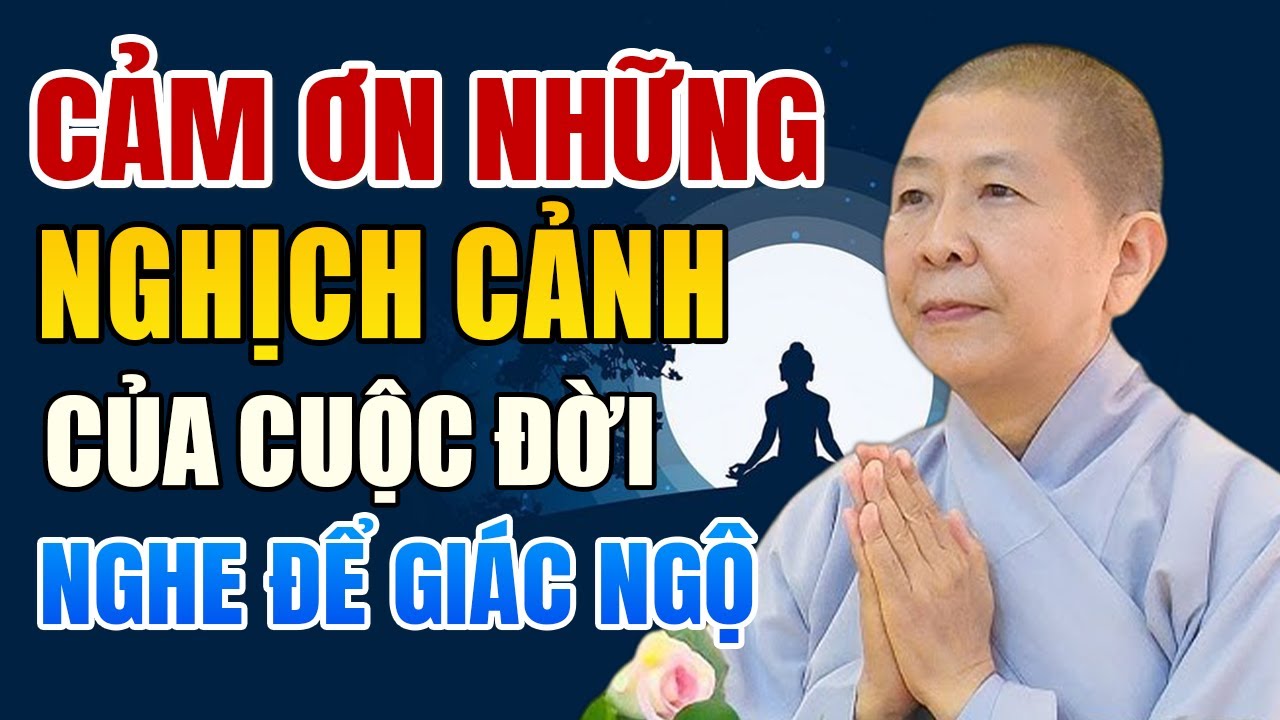 Cảm ơn những nghịch cảnh của cuộc đời (nghe để giác ngộ) - Ni trưởng Hạnh Chiếu giảng