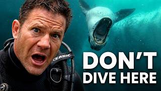 The Most Dangerous Places I've Ever Dived