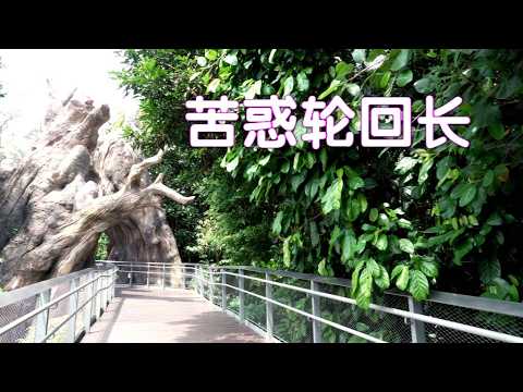 苦惑轮回长  ~蔡居士 著  《佛法在世间》 [唯佛宗世界人乘佛教]