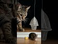 Mouse Walked Right Into It!😮HAHA😮#Mouse #CatTrap #AnimalComedy #CatShorts #Shorts