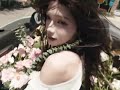 鲜花开了又开 夏天来了又来