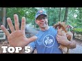 Top 5 Mistakes NEW Chicken Owners Make (Don't Do Like We Did)