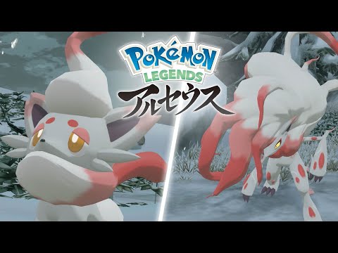 【公式】『Pokémon LEGENDS アルセウス』新報 其の弍　ヒスイのすがたのゾロア・ゾロアーク篇