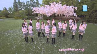 SNH48《化作樱花树》纯舞蹈版