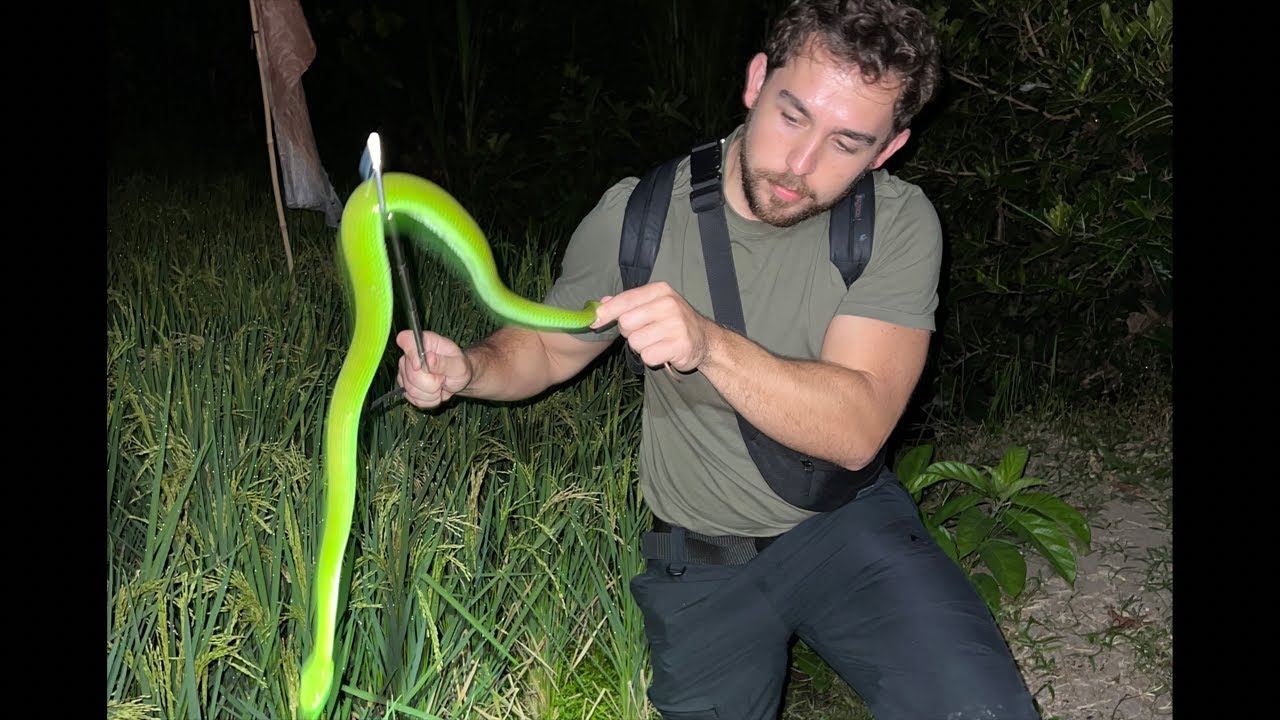 Andrew Raciti is live in Thailand!